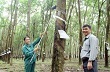 Nữ công nhân sáng chế ra “cây bôi keo” 